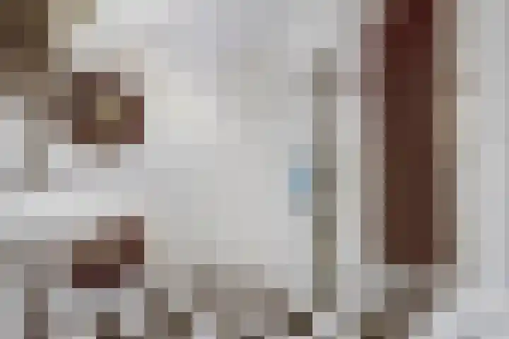 Rozenboomlaan 42 Voorburg thumbnail 25