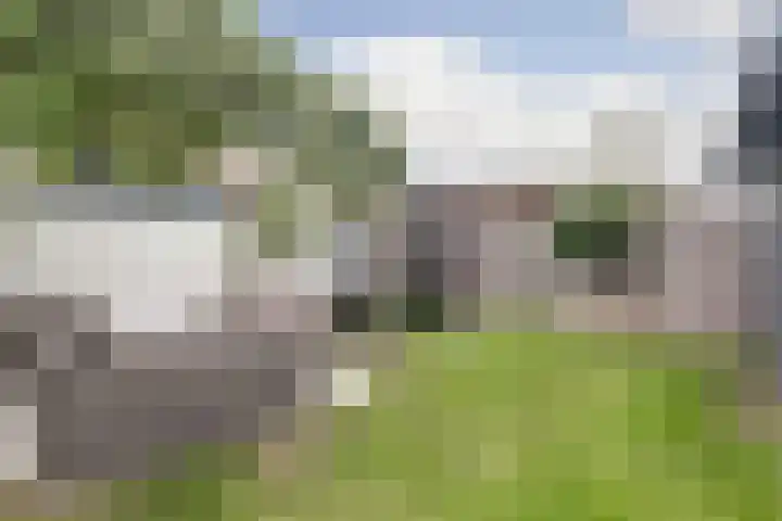 Rozenboomlaan 42 Voorburg thumbnail 31