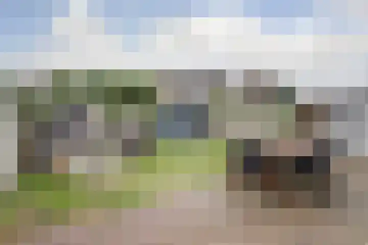 Rozenboomlaan 42 Voorburg thumbnail 32