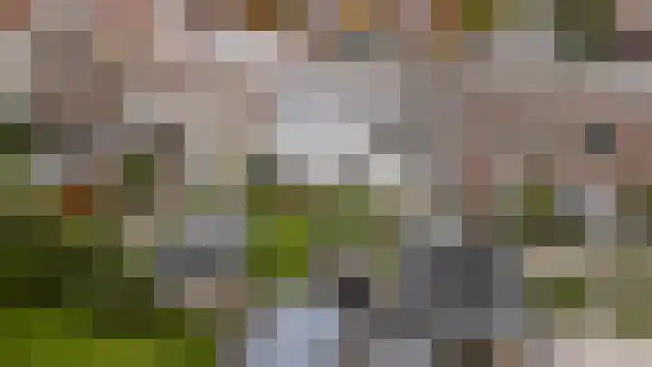 Rozenboomlaan 42 Voorburg thumbnail 35