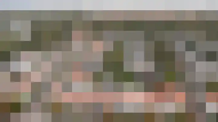 Rozenboomlaan 42 Voorburg thumbnail 36