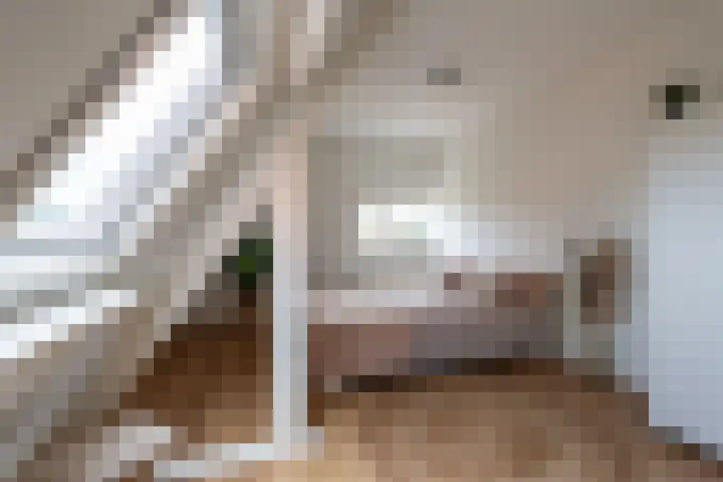 Rozenboomlaan 43 Voorburg thumbnail 13