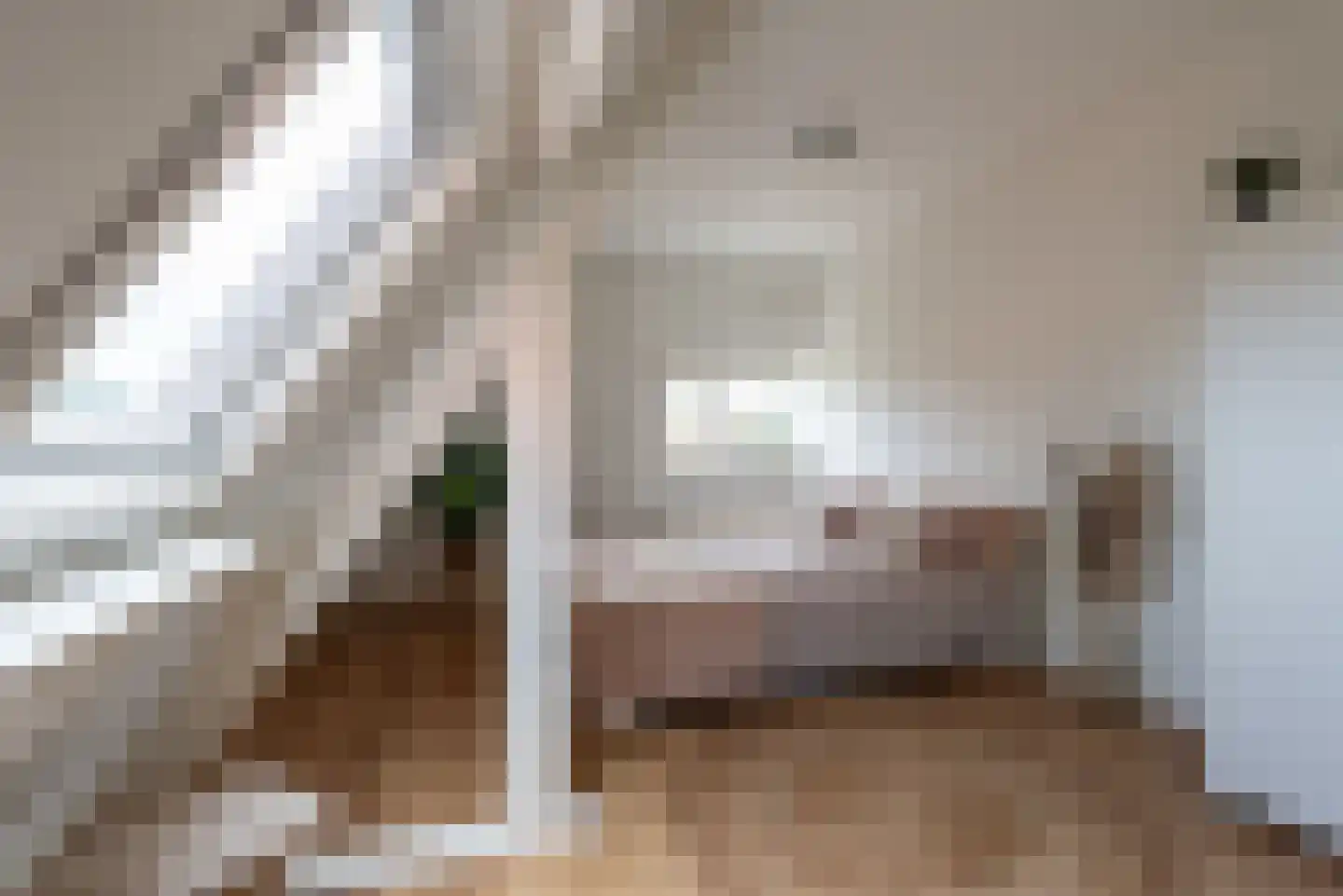 Rozenboomlaan 43 Voorburg thumbnail 14