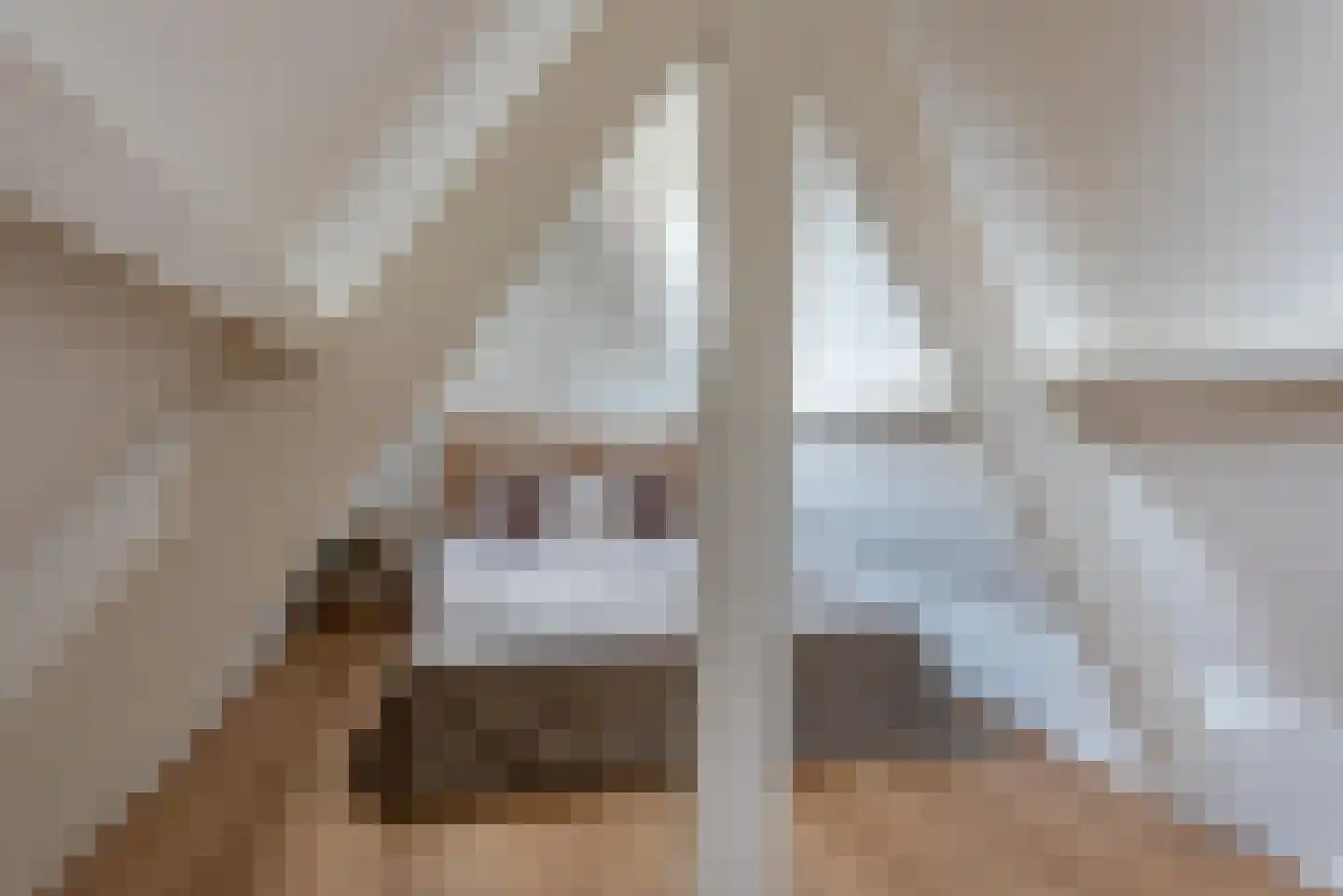 Rozenboomlaan 43 Voorburg thumbnail 22