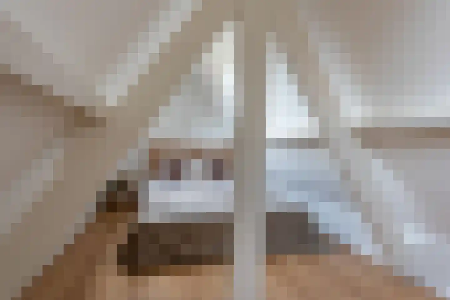 Rozenboomlaan 43 Voorburg thumbnail 23