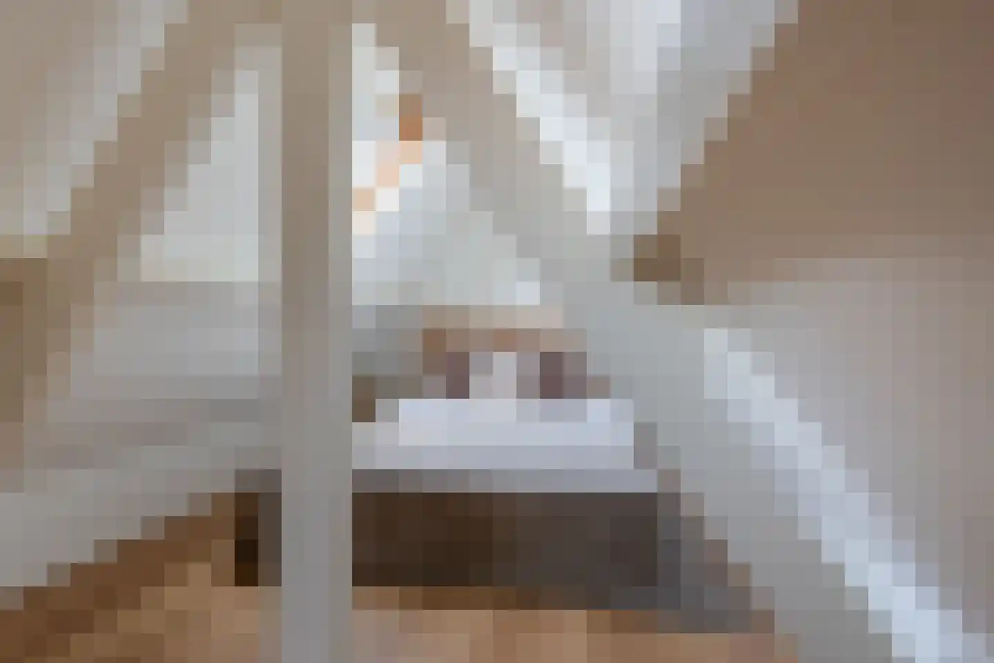 Rozenboomlaan 43 Voorburg thumbnail 23