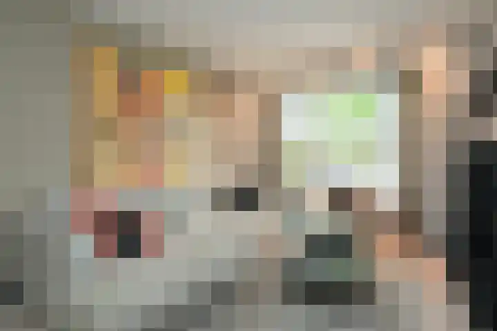 Rozenboomlaan 53 Voorburg thumbnail 13