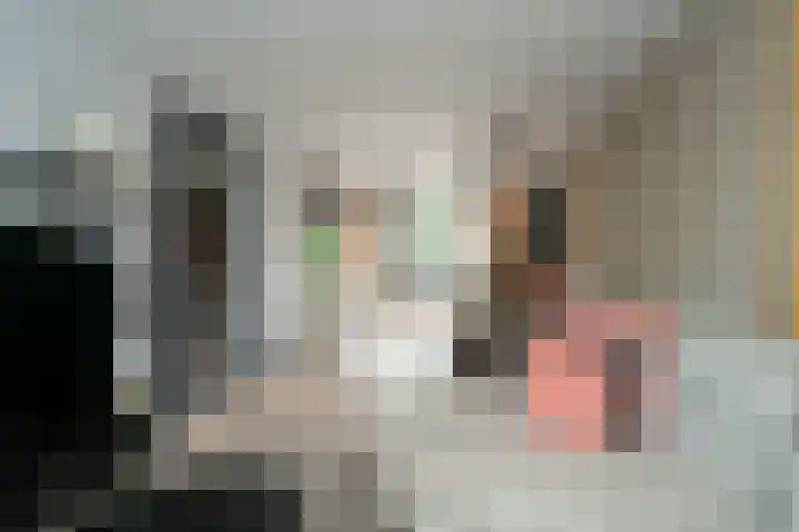 Rozenboomlaan 53 Voorburg thumbnail 14
