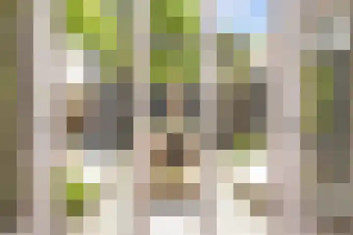 Rozenboomlaan 53 Voorburg thumbnail 23