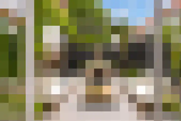 Rozenboomlaan 53 Voorburg thumbnail 24