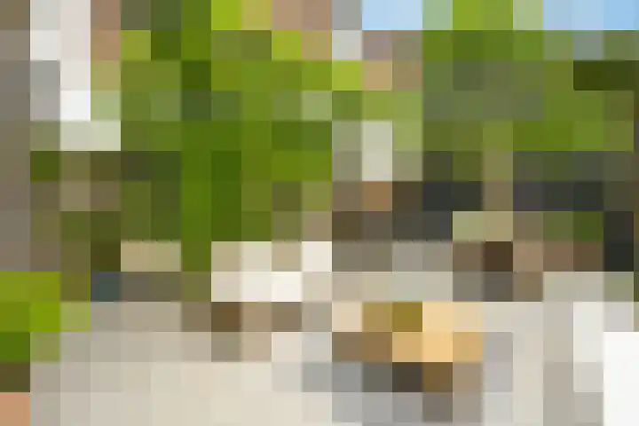 Rozenboomlaan 53 Voorburg thumbnail 25