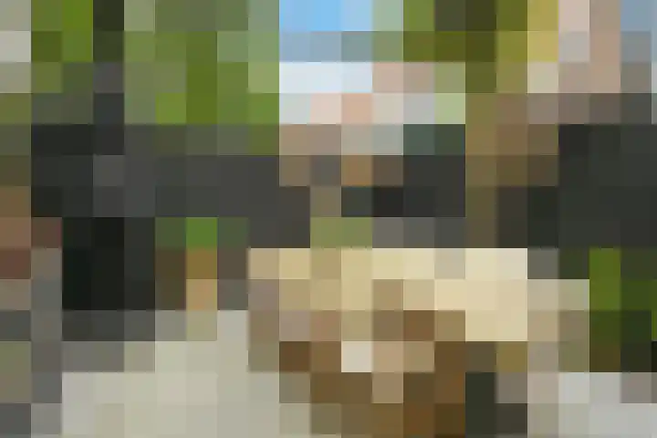 Rozenboomlaan 53 Voorburg thumbnail 26