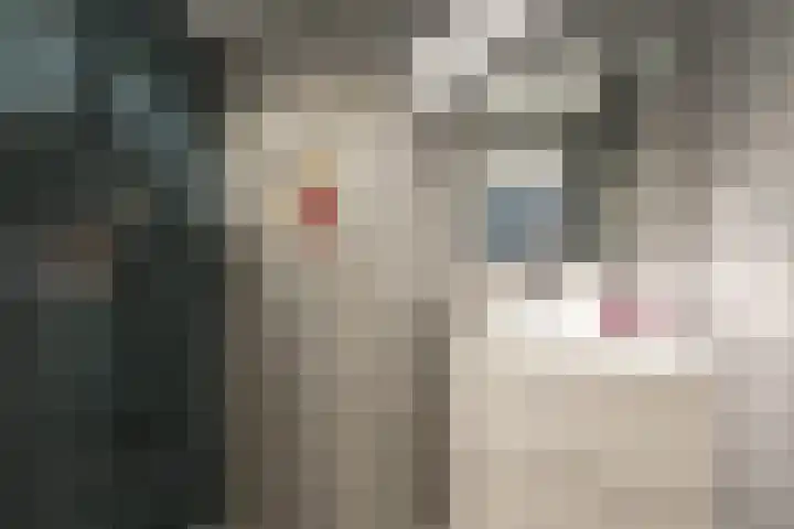 Rozenboomlaan 53 Voorburg thumbnail 41