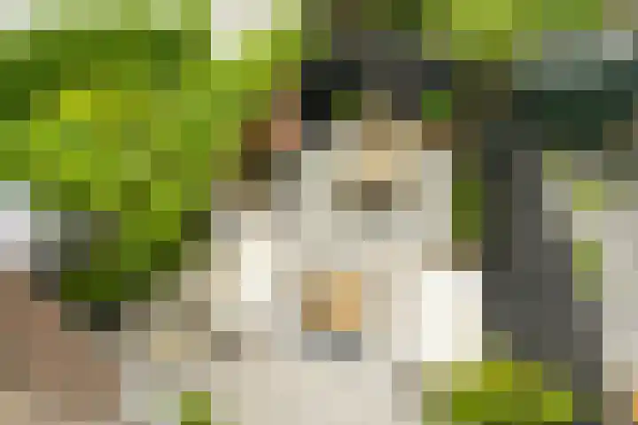 Rozenboomlaan 53 Voorburg thumbnail 5