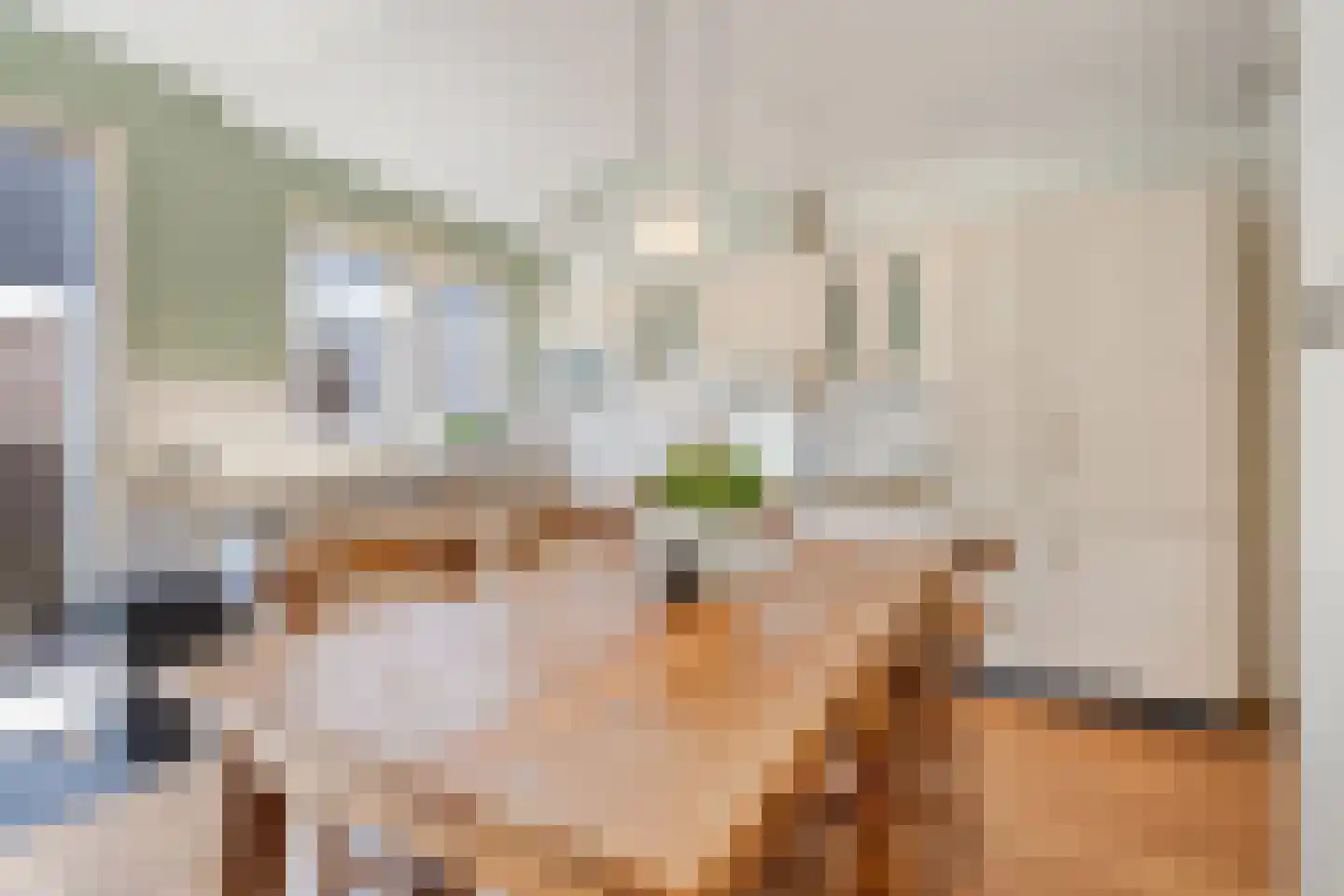 Rozenboomlaan 56 Voorburg thumbnail 15
