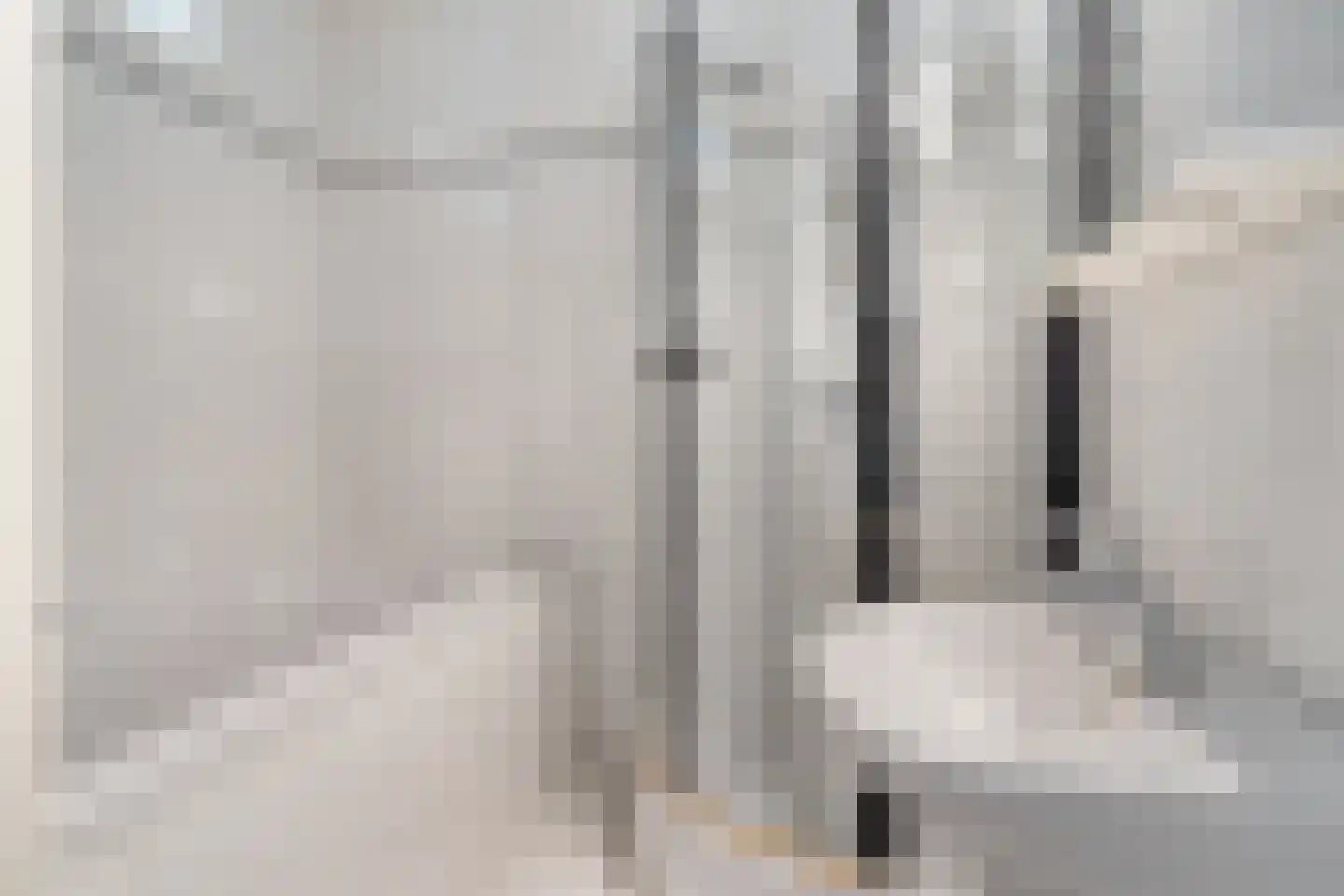 Rozenboomlaan 56 Voorburg thumbnail 29