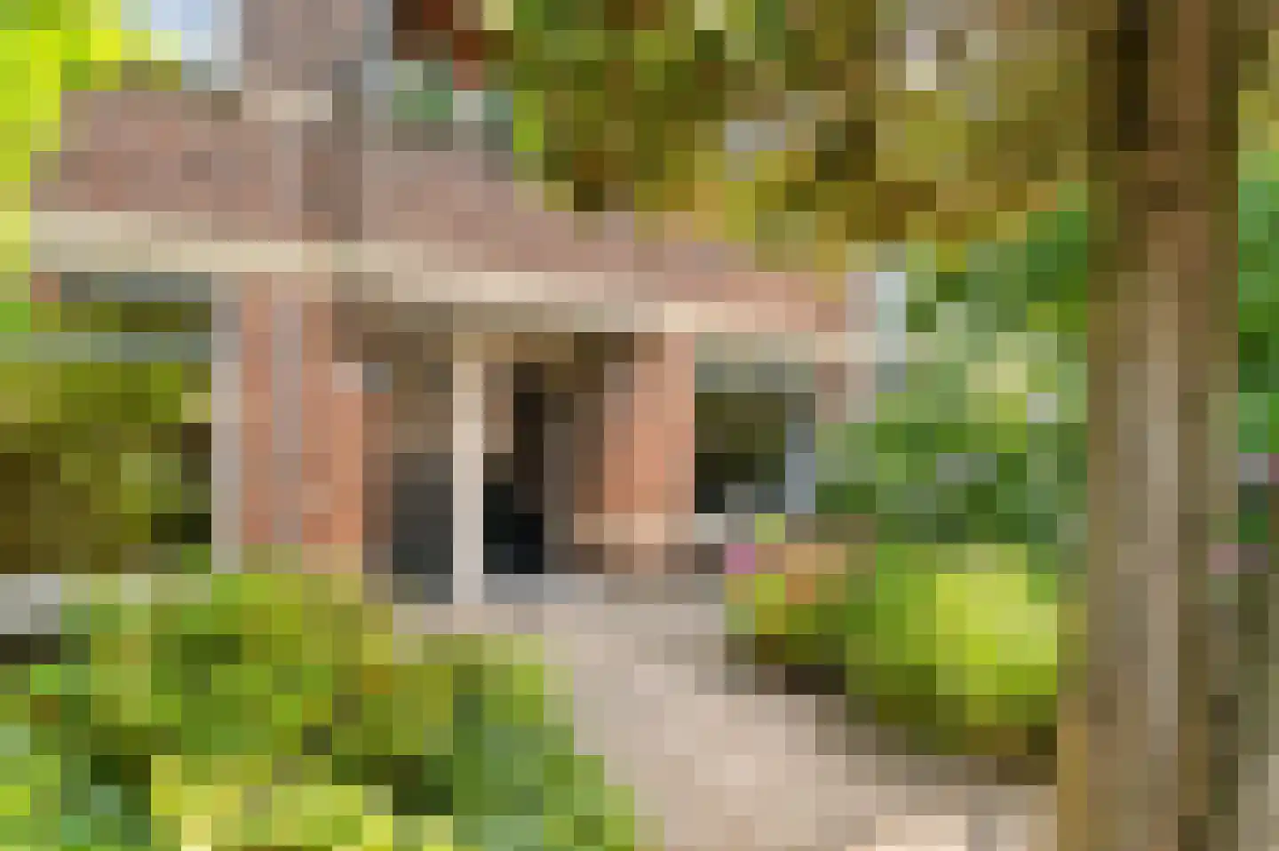 Rozenboomlaan 56 Voorburg thumbnail 7