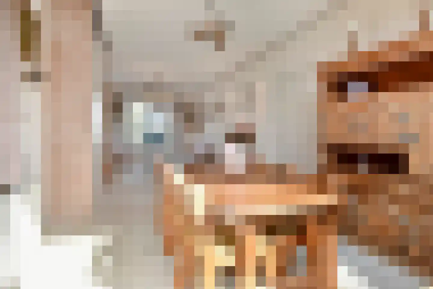 Rozenboomlaan 57 Voorburg thumbnail 10