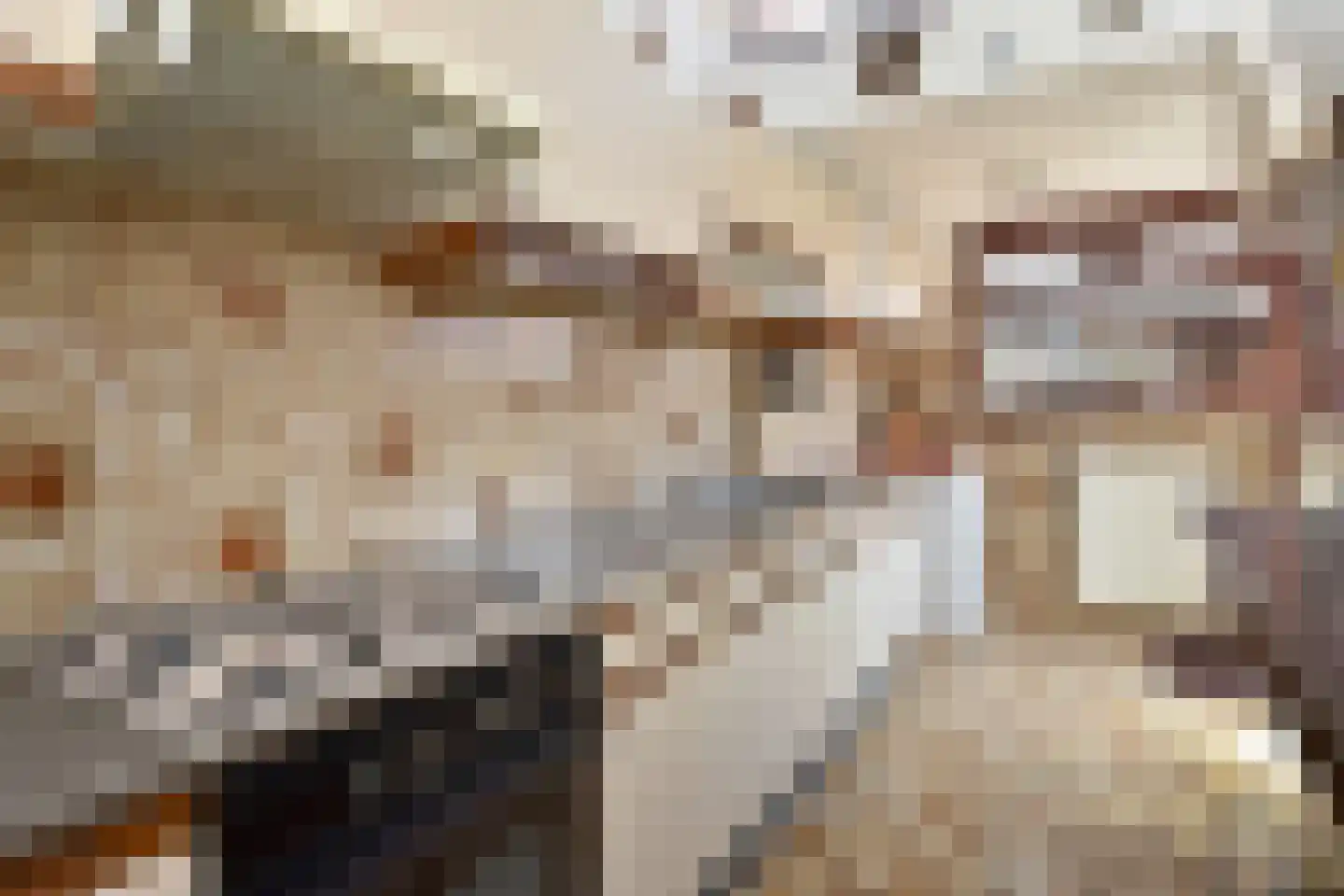 Rozenboomlaan 57 Voorburg thumbnail 12