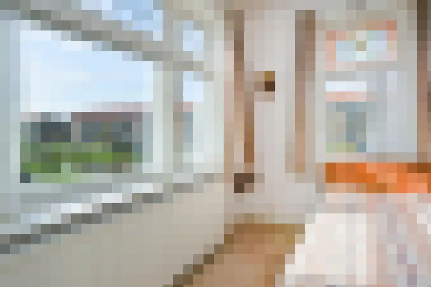 Rozenboomlaan 57 Voorburg thumbnail 18