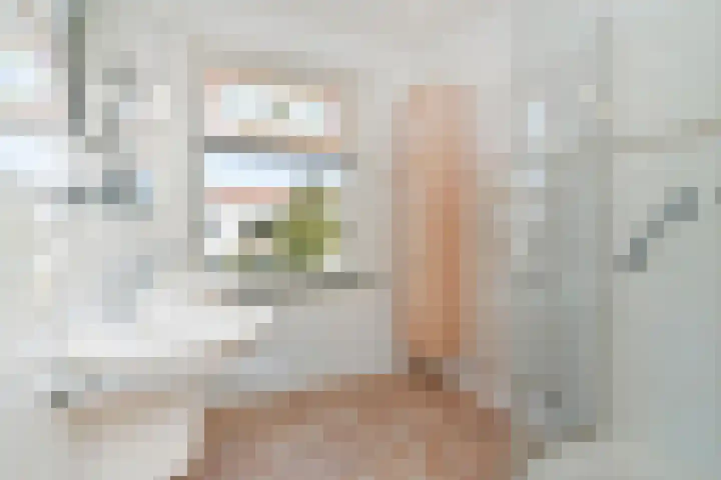 Rozenboomlaan 57 Voorburg thumbnail 20