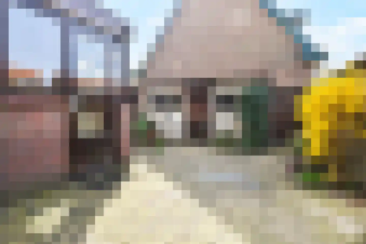 Rozenboomlaan 57 Voorburg thumbnail 25