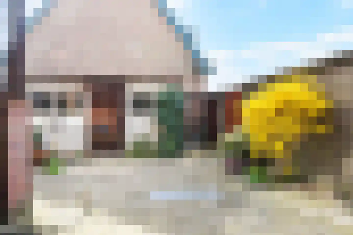 Rozenboomlaan 57 Voorburg thumbnail 26