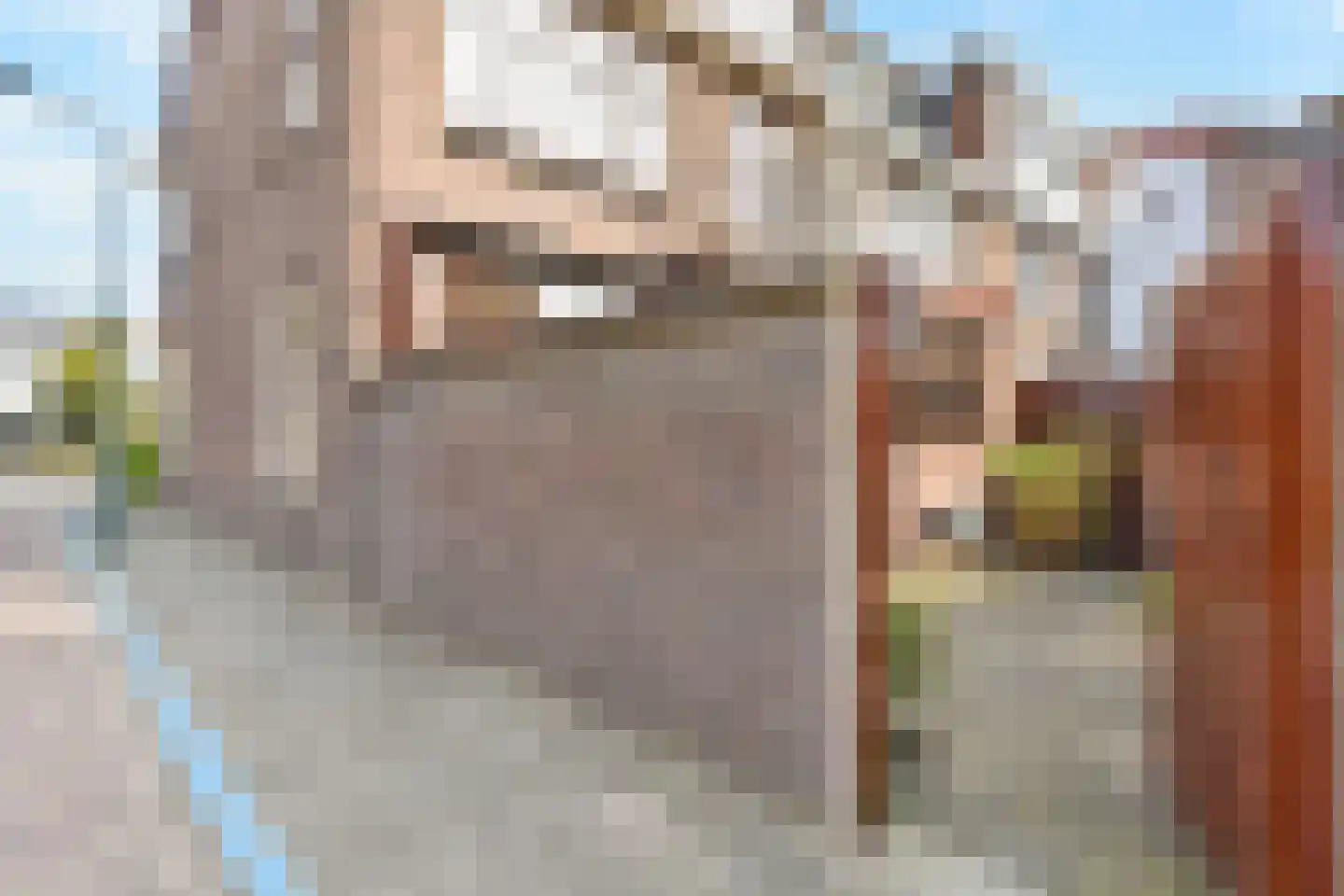 Rozenboomlaan 57 Voorburg thumbnail 28