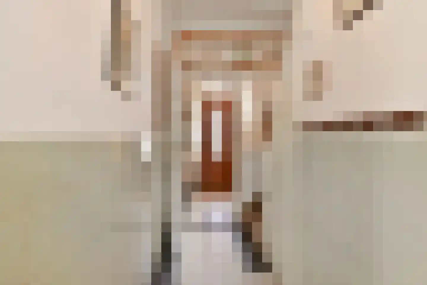 Rozenboomlaan 57 Voorburg thumbnail 5