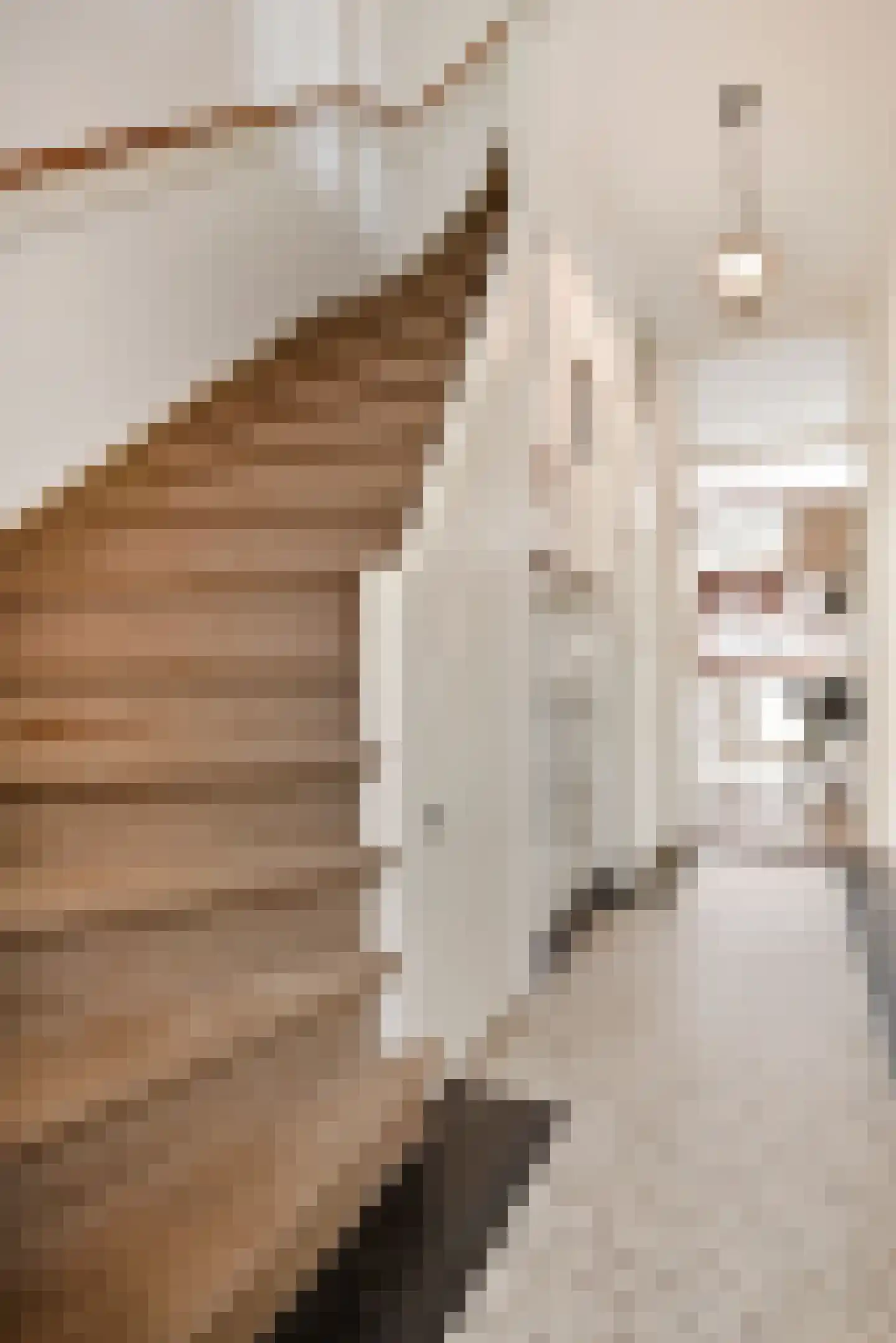 Rozenboomlaan 57 Voorburg thumbnail 6