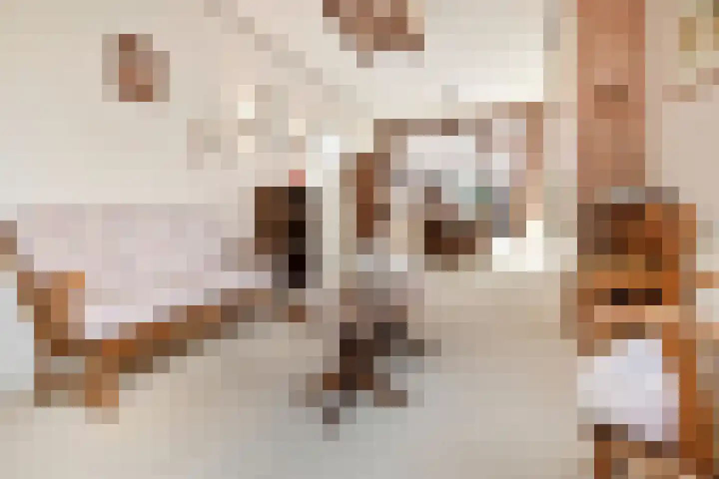 Rozenboomlaan 57 Voorburg thumbnail 9