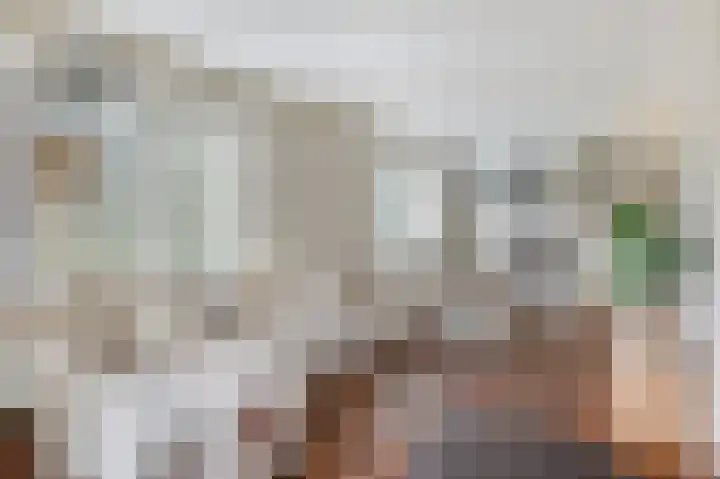 Rozenbos 10 Rheden thumbnail 11