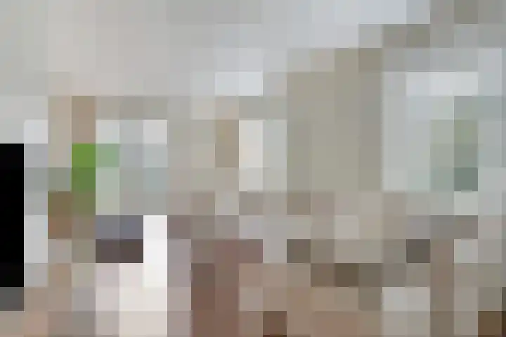 Rozenbos 10 Rheden thumbnail 14