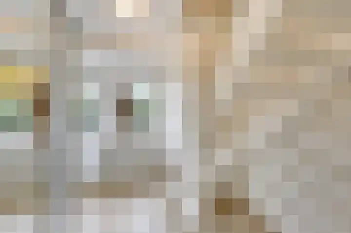 Rozenbos 10 Rheden thumbnail 36