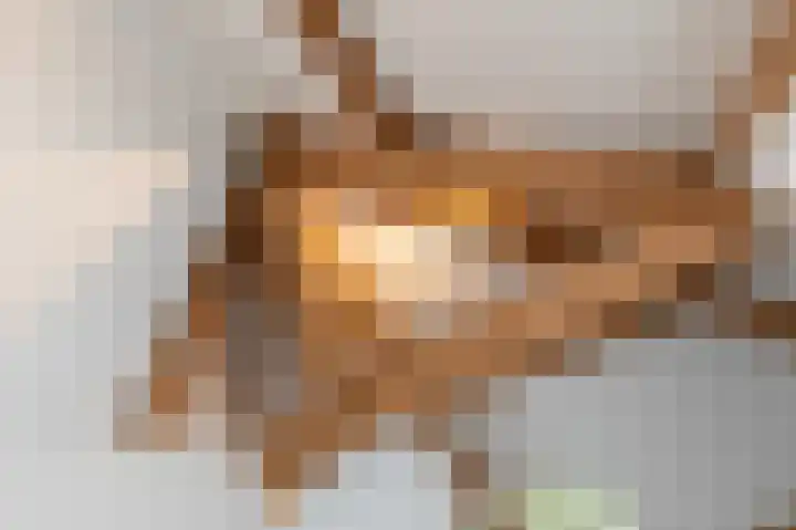 Rozenbos 10 Rheden thumbnail 39