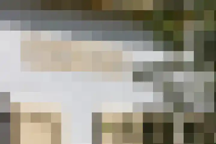 Rozenbos 10 Rheden thumbnail 4