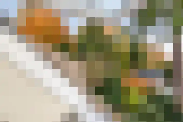 Rozenbos 10 Rheden thumbnail 42