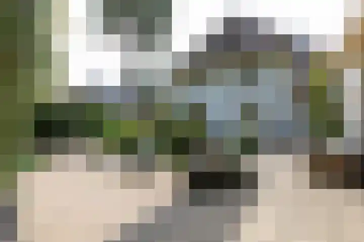 Rozenbos 10 Rheden thumbnail 46