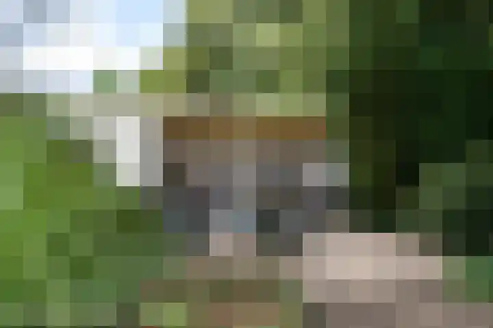 Rozenbos 10 Rheden thumbnail 47