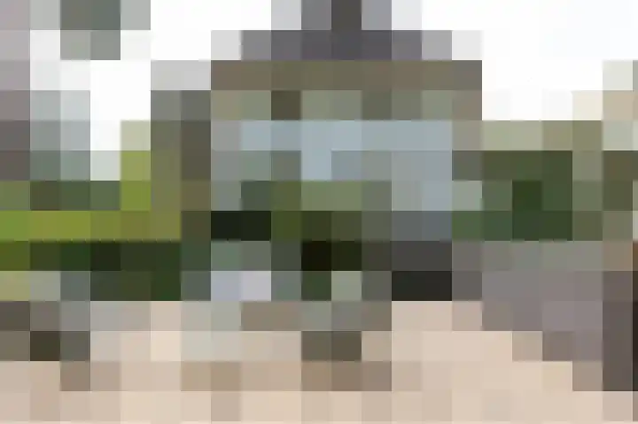 Rozenbos 10 Rheden thumbnail 48