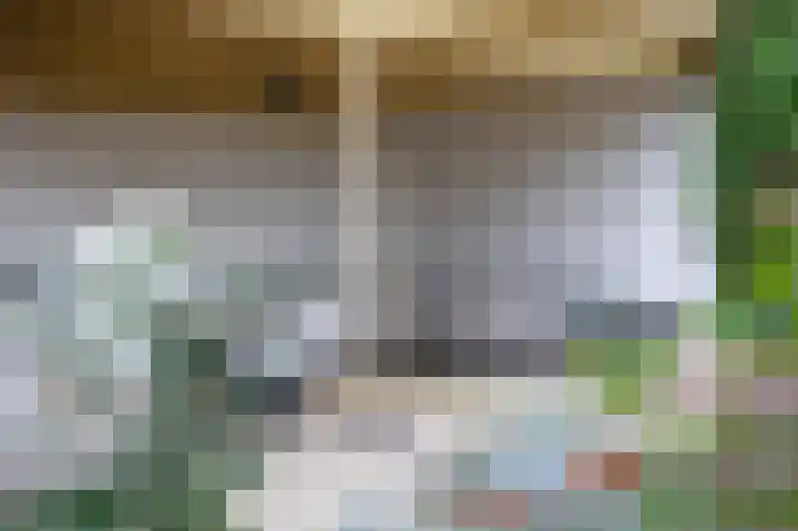 Rozenbos 10 Rheden thumbnail 50