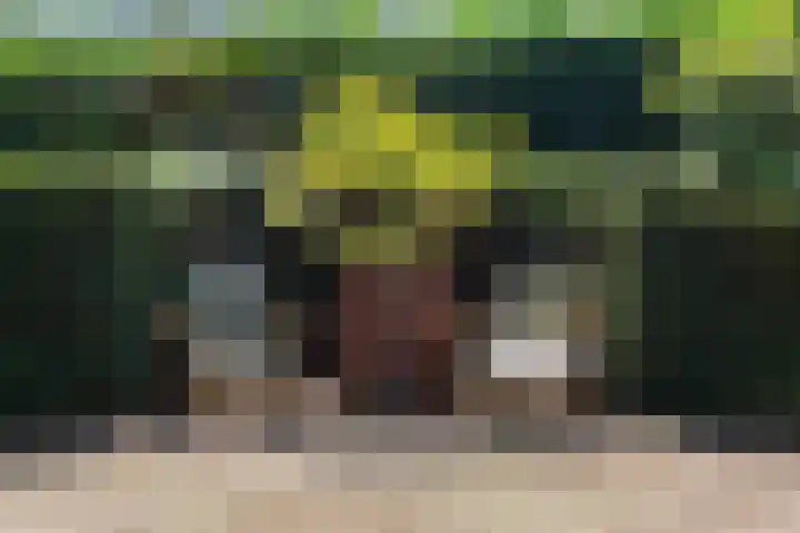 Rozenbos 10 Rheden thumbnail 52