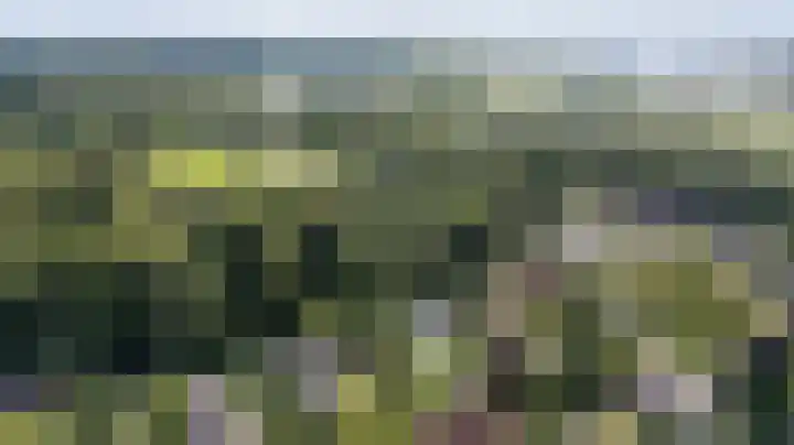 Rozenbos 10 Rheden thumbnail 53
