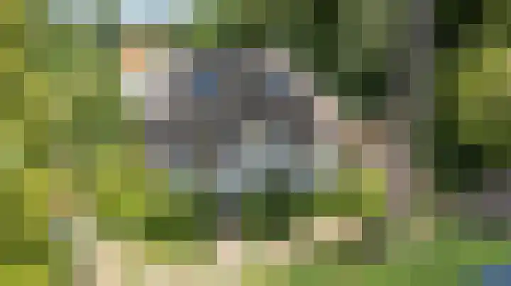 Rozenbos 10 Rheden thumbnail 54