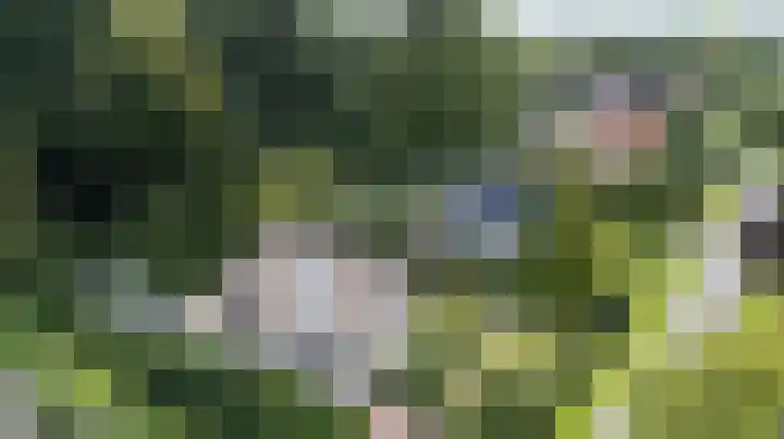 Rozenbos 10 Rheden thumbnail 56