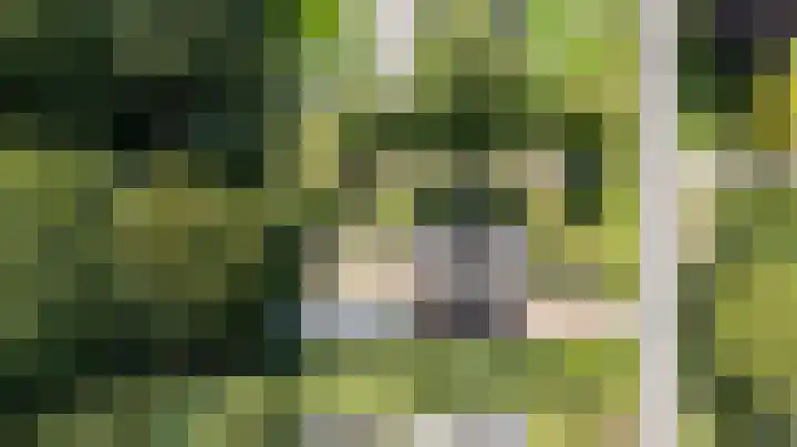 Rozenbos 10 Rheden thumbnail 57