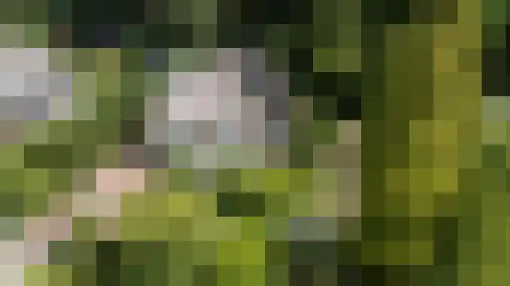 Rozenbos 10 Rheden thumbnail 58