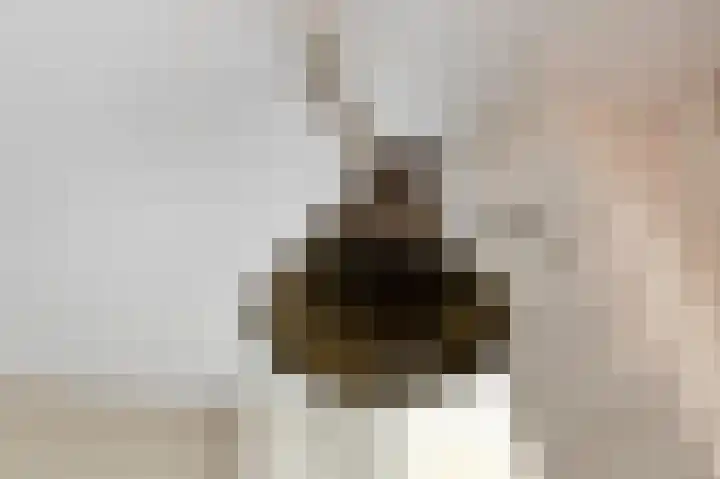Rozenbos 10 Rheden thumbnail 8
