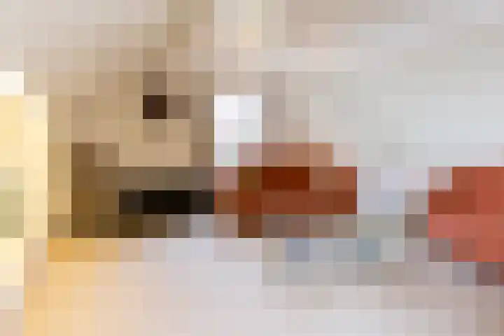 Rozenbos 3 a Rheden thumbnail 14