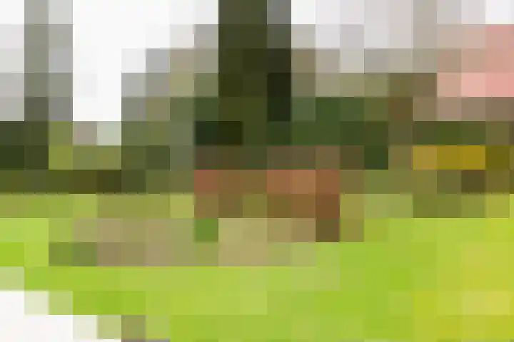 Rozenbos 3 a Rheden thumbnail 32